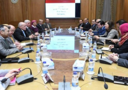 وزيرا الإنتاج الحربى والتخطيط يبحثان إعادة هيكلة شركة حلوان للصناعات