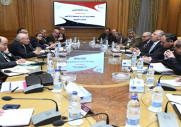وزيرا الدولة للإنتاج الحربى والزراعة يبحثان التعاون المشترك لخدمة المشروعات القومية