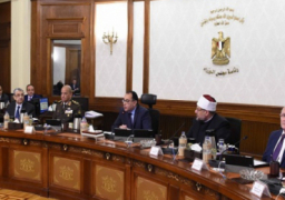 “الوزراء” يستعرض تقريرا عن بروتوكول تعاون بين وزارتي المالية والكهرباء