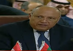 شكري: تحقيق التسوية العادلة للقضية الفلسطينية أحد المفاتيح الرئيسية لاستعادة السلام