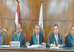 “الإدارية العليا” تضع 8 مبادئ عن حرية الفن والإبداع