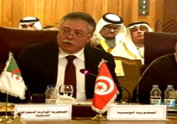 تونس تؤكد عزمها الارتقاء بعلاقاتها مع كافة دول القارة الأفريقية