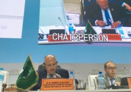 بالصور تواصل اجتماعات المجلس التنفيذي لـلاتحاد الافريقى لليوم الثانى