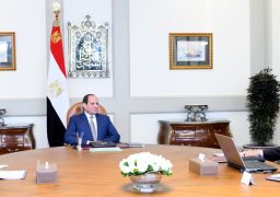 الرئيس عبد الفتاح السيسي يوجه بمواصلة جهود تطوير شركات قطاع الأعمال العام