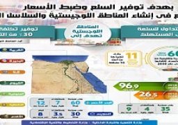 بالإنفوجراف… مصر تتوسع في إنشاء المناطق اللوجستية والسلاسل التجارية