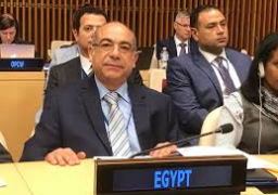 إدريس يناقش تحديات الدول النامية بالرئيس الجديد لمجموعة الـ77 بنيويورك