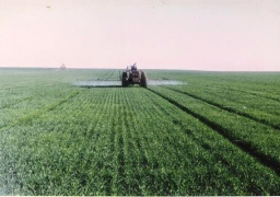 الاحصاء: ارتفاع المساحة المحصولية لـ16.1 مليون فدان في 2017-2018