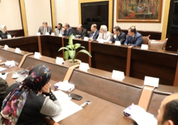 “الصحة”: تعافي أول حالة حاملة لـ”كورونا” بالبلاد.. ومصر خالية من الفيروس