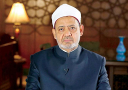 الطيب: الأزهر هو المرجعية الأولى للمسلمين في العالم