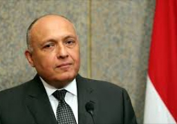 في ثاني محطة بجولته الأفريقية… شكرى يلتقي رئيس جنوب أفريقيا