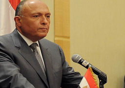 شكري يؤكد ضرورة تضافر جهود الدول الأفريقية لمعالجة القضايا والتحديات