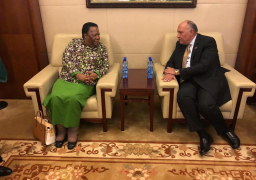 شكري يستعرض مع نظيرته الجنوب أفريقية تطورات مفاوضات سد النهضة