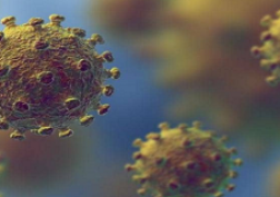 الإمارات تؤكد إتخاذ كافة الإجراءات لحماية المجتمع من خطر “كورونا”