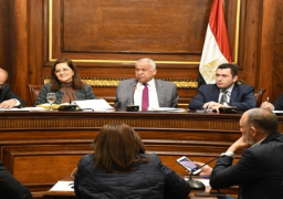 وزيرة التخطيط: نسبة الزيادة في استثمارات الصناعات البترولية خلال عام 2018/2019 وصلت إلى 95%