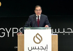 طارق الملا … قطاع البترول حقق رقما قياسيا فى إطار توصيل الغاز الطبيعى للمنازل