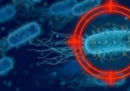 الصحة السعودية: الحالات الخمس المصابه بكورونا قادمة من إيران