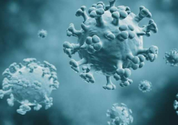 كورونا من الصفر إلى الكارثة .. 5 مراحل لانتشار الوباء