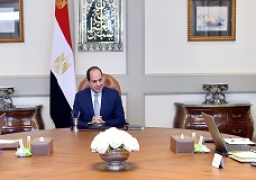 السيسي يوجه باستخدام أحدث المعايير العالمية لتنفيذ خطط الانتقال إلى العاصمة الإدارية