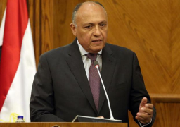 اليوم.. شكري يبحث مع قرقاش تعزيز العلاقات والملفات الإقليمية