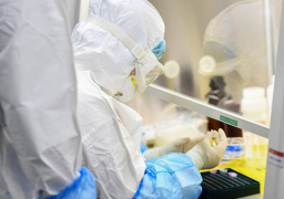 أمريكا: ارتفاع حصيلة إصابات كورونا إلى 33 مليونا و391 ألفا و92 حالة