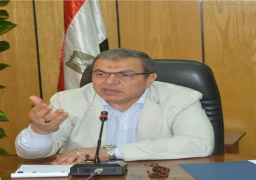 بعد انتشار كورونا..سعفان يتلقى تقريرا عن احوال المصريين بالخارج