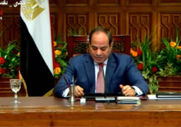 السيسي: ليس لدينا أى مشكلة فى احتياطى السلع الأساسية ويكفى 3 أشهر