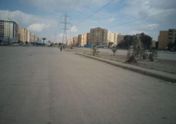 محافظة القاهرة تنجح في منع إقامة سوق السيارات وسوق الجمعة