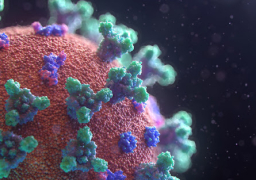 مدير القصر الفرنساوي ينفى احتجاز أية حالات مصابة بكورونا