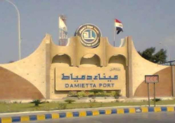 ميناء دمياط يستقبل 14 سفينة حاويات وبضائع عامة