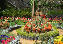 وزير الزراعة يتابع الاستعداد لافتتاح معرض زهور الربيع