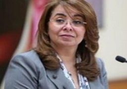 وزير الخارجية النمساوي يؤكد دعم بلاده لمهمة غادة والي بالأمم المتحدة