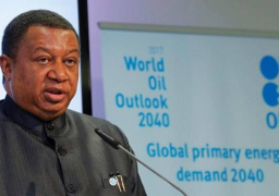 أمين الـ”أوبك”: كورونا وحش غير مرئي تسبب في صدمة عنيفة في سوق النفط