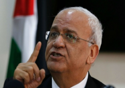 عريقات يبحث ومسؤولين عرب وأوروبيين آثار التدمير لخطة الضم الإسرائيلية