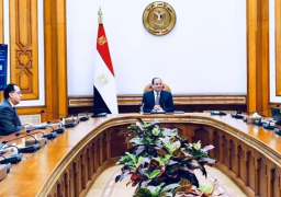 بالفيديو : الرئيس عبد الفتاح السيسي يجتمع برئيس الوزراء ووزيرالنقل ويوجه بإستمرار مشروعات الطرق والمحاوروتحديث منظومة النقل