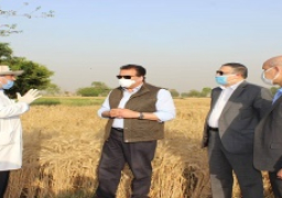 الجامعات المصريه تساهم في تحقيق الأمن الغذائي المصري