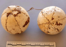 وزيري: كشف أثري جديد بمحافظة الاقصر