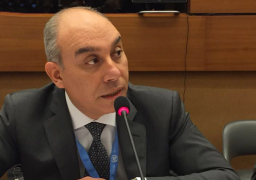 البعثة المصرية بجنيف تشارك في اجتماع مع مفوضة حقوق الإنسان بشأن كورونا