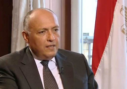 وزير الخارجية يتلقى اتصالاً هاتفياً من المبعوث الأممي إلى سوريا