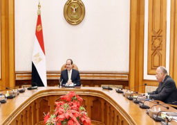 الرئيس السيسي يوجه بمواصلة جهود إعادة المواطنين العالقين في الخارج