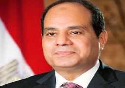 الرئيس يبحث ونظيره الروماني التعاون لمكافحة فيروس كورونا المستجد