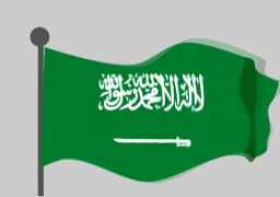 السعودية تفوز بعضوية لجنتين بالمجلس الاقتصادي والاجتماعي للأمم المتحدة