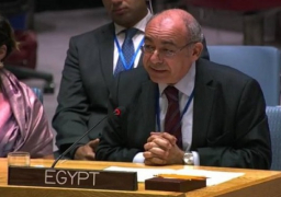 مصر تؤكد أهمية التحرك العاجل للحفاظ على الأمن الغذائى فى أفريقيا لمواجهة تداعيات كورونا المستجد