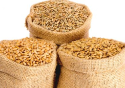 الزراعة: إقامة مراكز تجميع قريبة من المزارعين لتسهيل توريد القمح