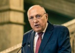 شكرى يؤكد أهمية تحدث الدول الأفريقية بصوت واحد مع الشركاء الدوليين