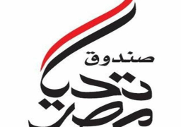 صندوق “تحيا مصر” يخصص رقم حساب لتلقي تبرعات المشروع القومي لتطوير القرى المصرية