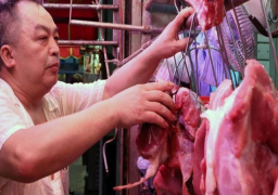 أخيرا .. مدينة شنزن الصينية تحظر تناول الكلاب والقطط