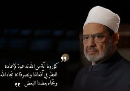 الطيب: أوشكت الفوارق بين الفضيلة والرذيلة أن تتلاشى