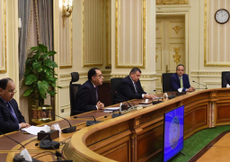 هيكل: المواطن شريك مع الحكومة في مواجهة الأزمة ومُهمة الإعلام التوعية