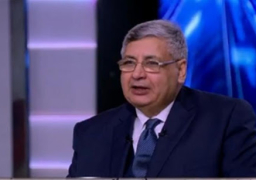 تاج الدين يعرض على الإعلام الأجنبي جهود مصر في مكافحة “كورونا المستجد”