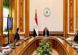 الرئيس السيسي يوجه بالسعي نحو تحقيق الاكتفاء الذاتي من المحاصيل